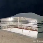 بيوت شعر خيام جلسات كراسي لوازم مخيمات