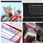 توصيل حيوانات
