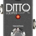 للبيع  Ditto Looper من TC Electronic