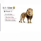 معلمة انجليزي