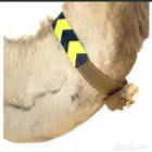 قلاده جهاز تتبع