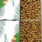 تصدير تمور