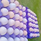 بيض بلدي -