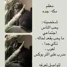 قط تبني