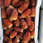 تمر صقعي للبيع