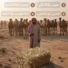 عرض خاص لمربي الإبل
