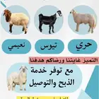 حري نعيمي تيوس