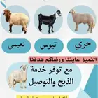 نعيمي