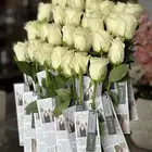 توزيعات اليوم الوطني