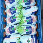 وجبات صايم او الاعاشة بلكميات