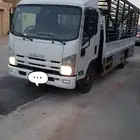 دينا طالع للقصيم