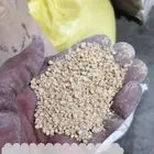 أعلاف حمام و روز و دجاج وبغبغاء و كروان