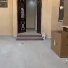 دور للايجار