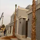 نخل واشنطن زينة