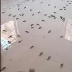 مبلط يمني لجميع انواع البلاط صامطه