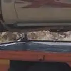 جنوط هلل شاص و ربع و لاند كروزر