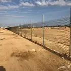 شبوك مزراع للبيع