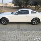 موستنج 2010قير عايدي 8سلندر