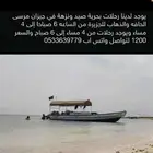 رحلات بحريه جيزان صيد سباحة