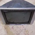 تلفزيون
