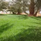 لجميع اعمال الزراعة