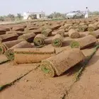 يوجدلديناجميع انواع الثيل الطبيعي الممتاز