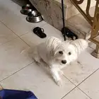 تم البيييع الله يبارك للمشتري