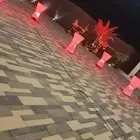 افتتاحيات تجهيز ليزر بالونات رقصه