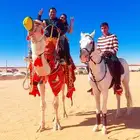 اجار بعير خيل جمال راكبي خيول كبير وصغيره بواني