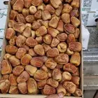 سكري مفتل كميات فقط