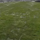 تنسيق حدائق ثيل طبيعي شبكات ري زراعه النخيل