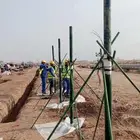 شبوك