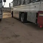 دينا في خميس ابها دينه دنه نقل عفش