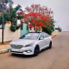 كداد صامطه وضواحيها