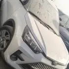 رايز 2024 مصدوم