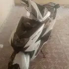 دباب الوسام الناري 2024