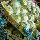 براد خس مستورد جاي من مصر