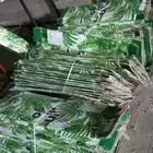 كراتين للبيع