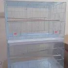 توفر اقفاص جديدة مقاس 601