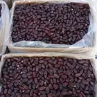 صفاوي 4 ريال