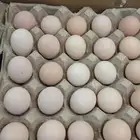 بيض دجاج بلدي للبيع