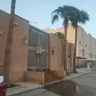 نخيل وشنطني للبيع اطول من 6متر الا 9متر العدد 9حبات