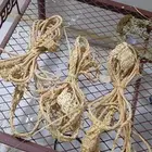 جنوب طفي (جناب للابل ) العدد 3