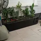 تنسيق حدائق