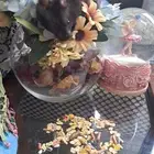 انثى هامستر سوري