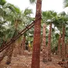 نقوم بعمال انخيل واشنطن وعربي اتواصل