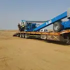 لوبد متوجد ان في نجران عل القصيم او رياض او تبوك او المدينة