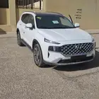 هواندى سنتافى 2021