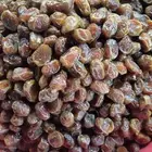 تمور حائل الفاخره