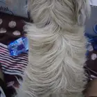 كلب للبيع